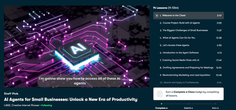 Course lesson preview